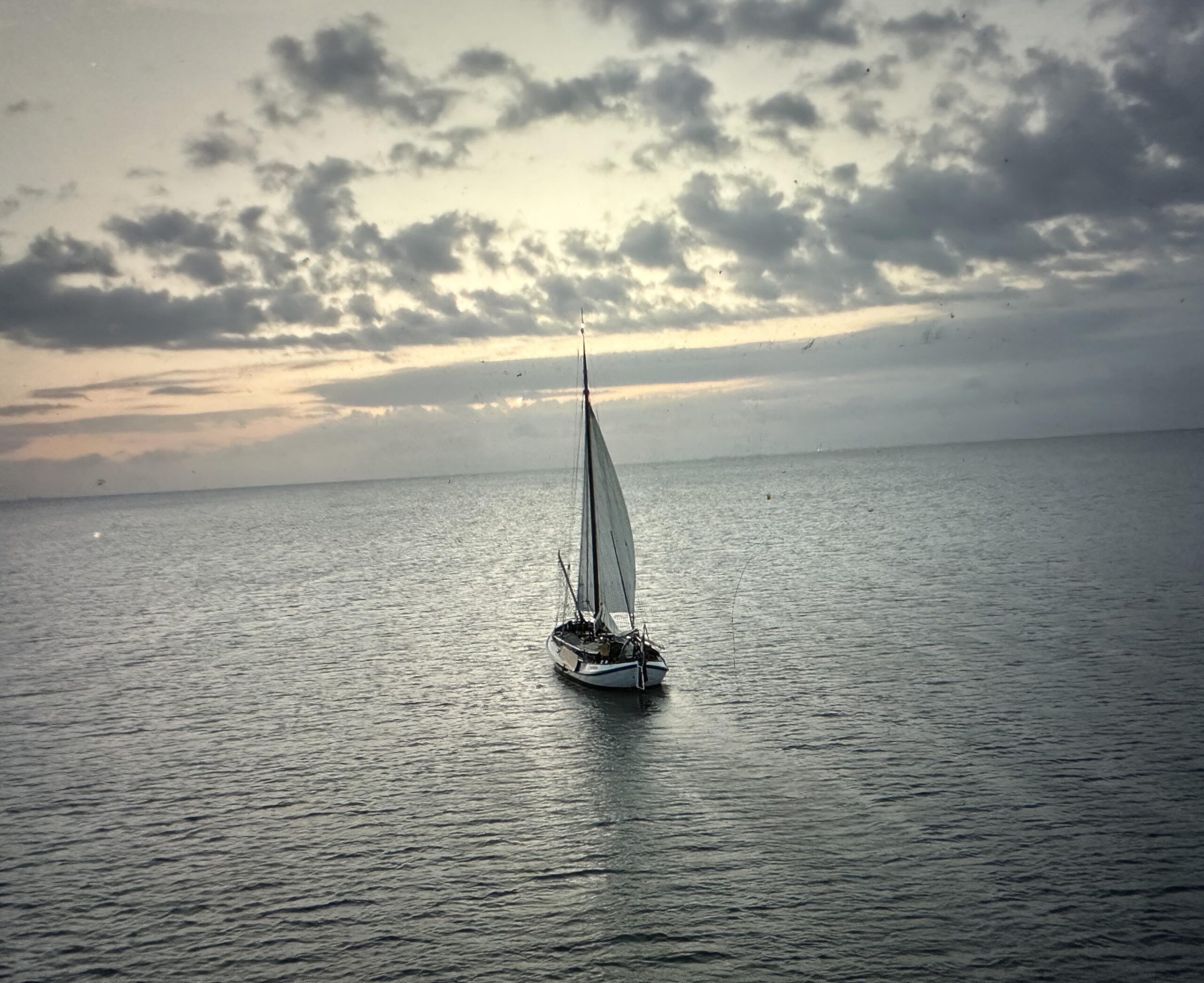 For us who carry us gallery12